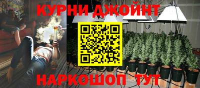 сатива Обь