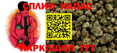 сатива Обь