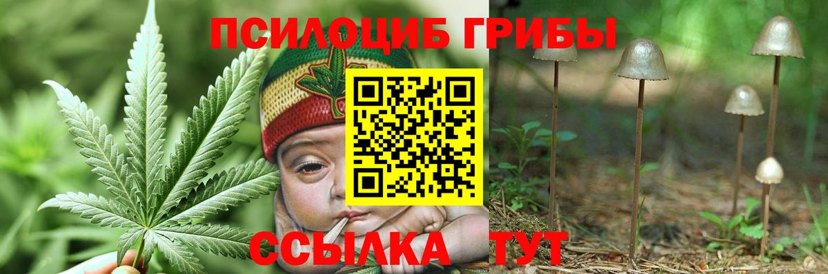 Псилоцибиновые грибы Psilocybine cubensis Самара